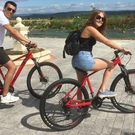 O Lingot D'oc Nocleg ze śniadaniem